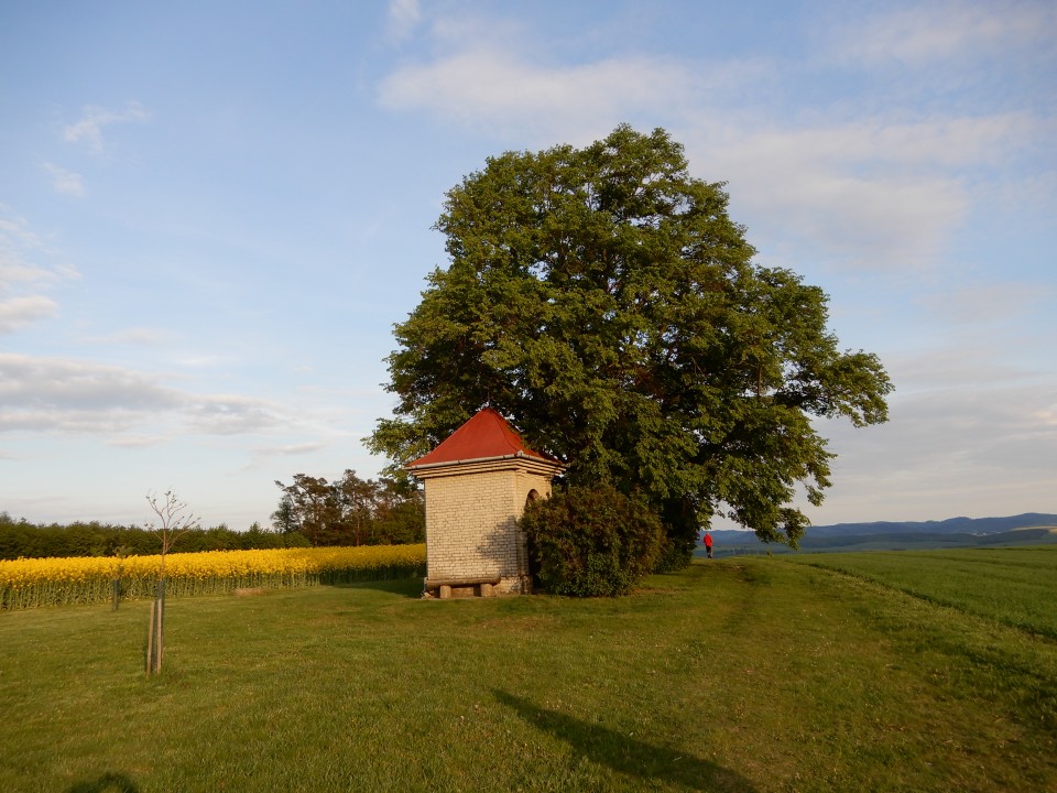 7. 5. 2019 - foto povečava