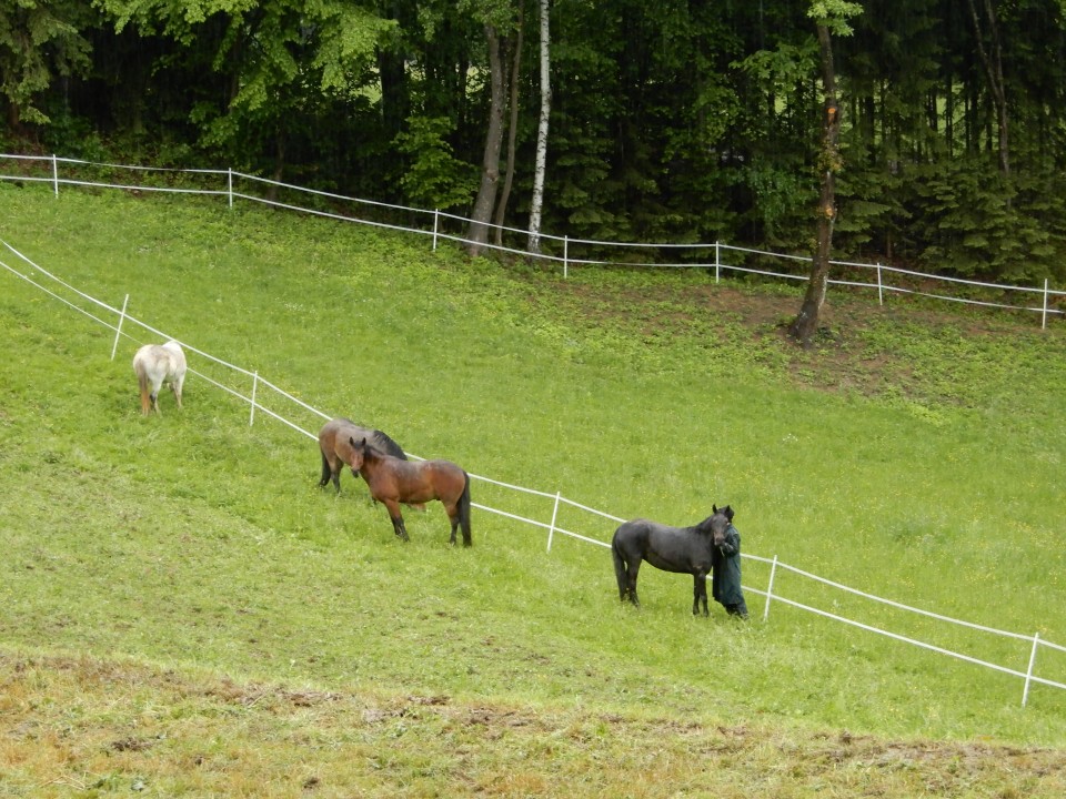 15. 5. 2019 - foto povečava