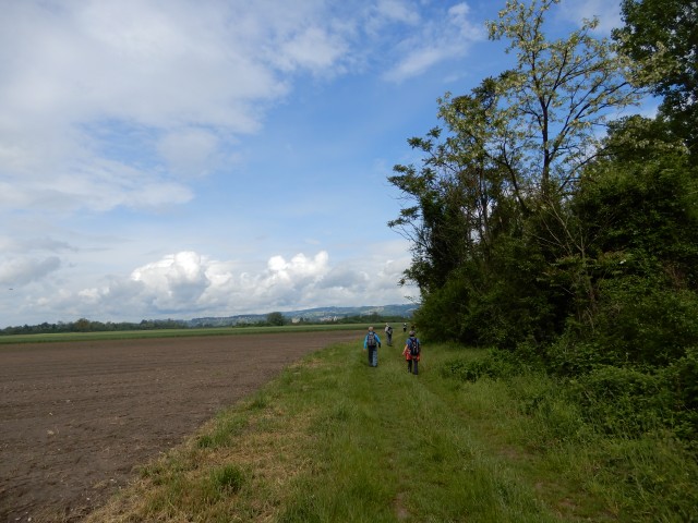 20. 5. 2019 - foto