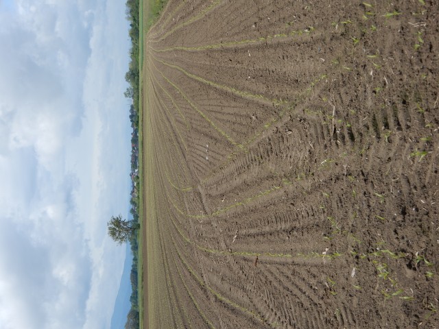 20. 5. 2019 - foto