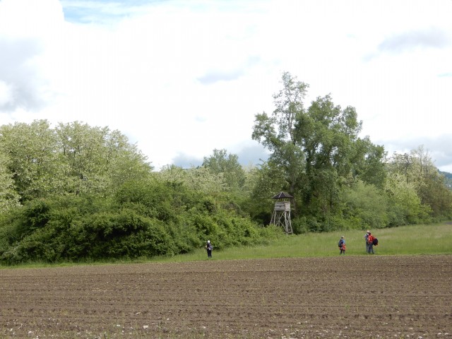 20. 5. 2019 - foto