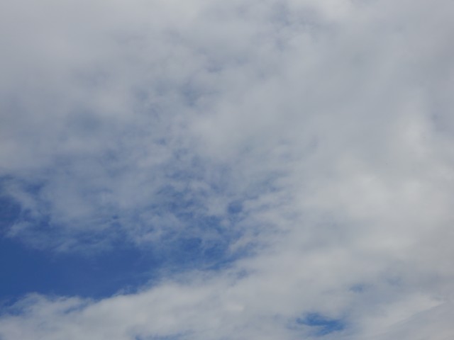 20. 5. 2019 - foto