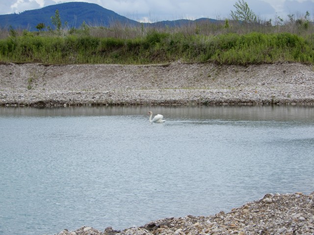 20. 5. 2019 - foto