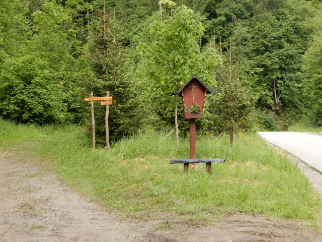 22. 5. 2019 - foto