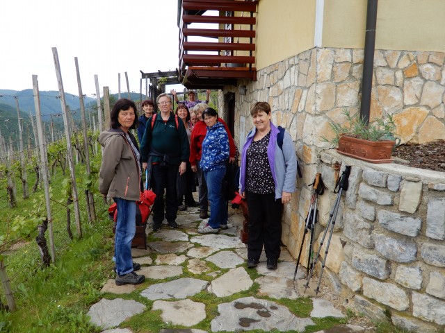 22. 5. 2019 - foto