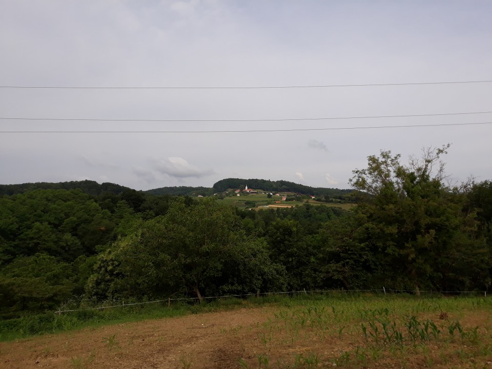 17. 6. 2019 - foto povečava