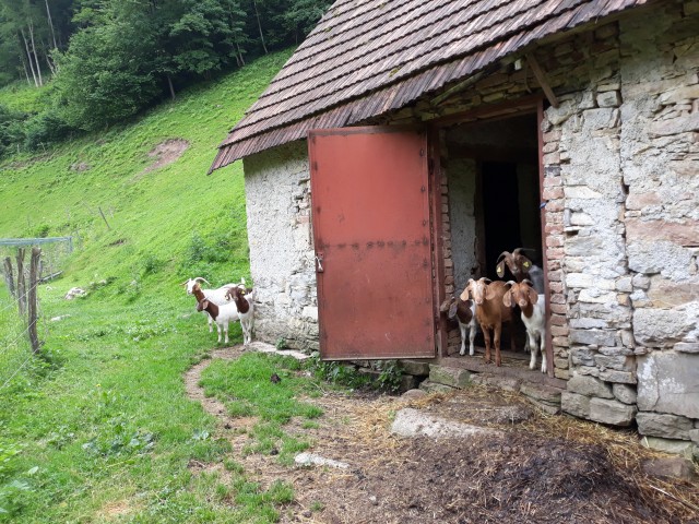 17. 6. 2019 - foto