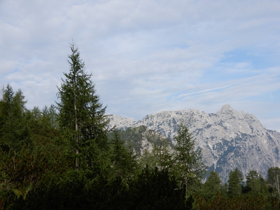 29. 8. 2019 - foto povečava