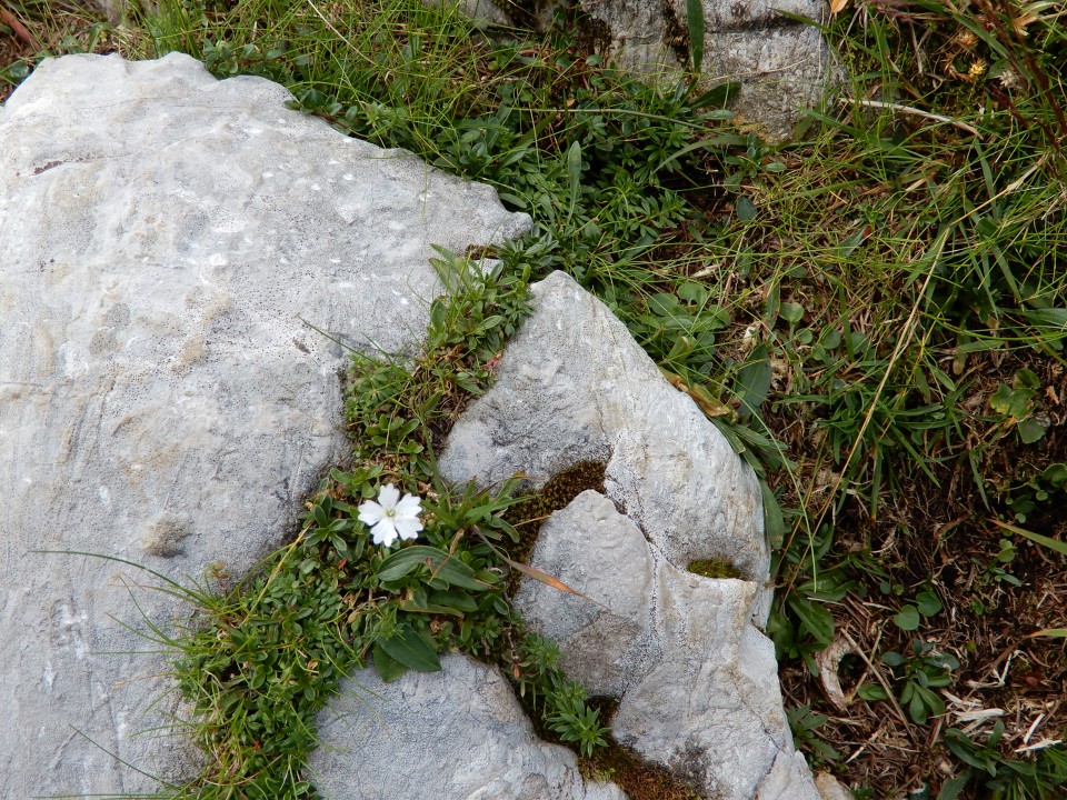 29. 8. 2019 - foto povečava