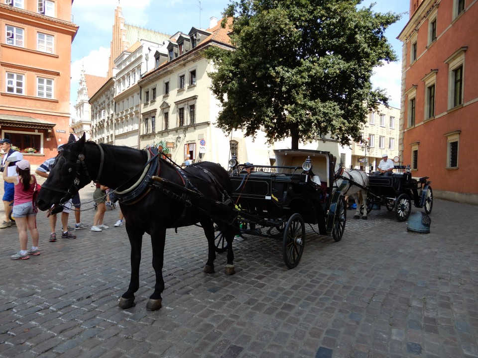 17. 8. 2019 - foto povečava