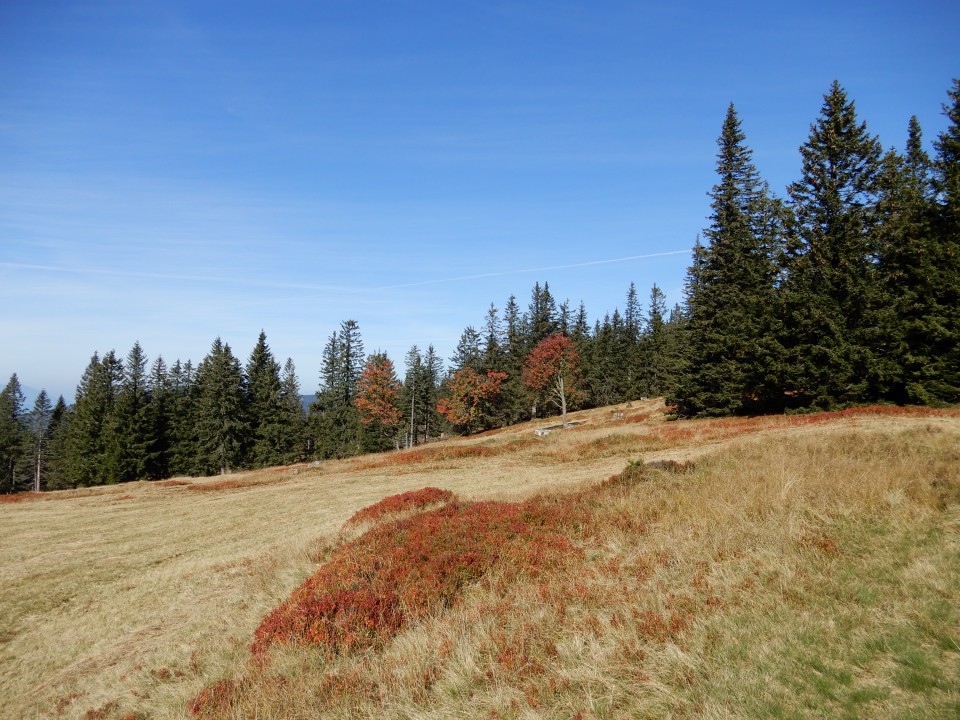 30. 9. 2019 - foto povečava