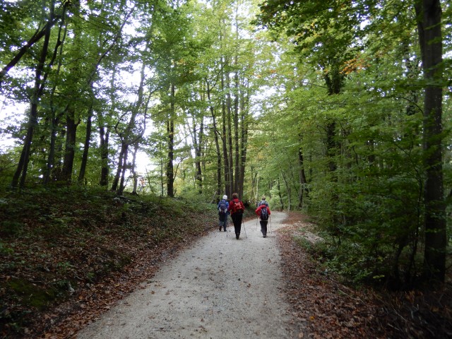 7. 10. 2019 - foto