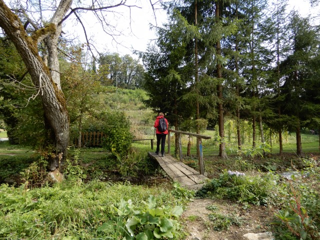 7. 10. 2019 - foto