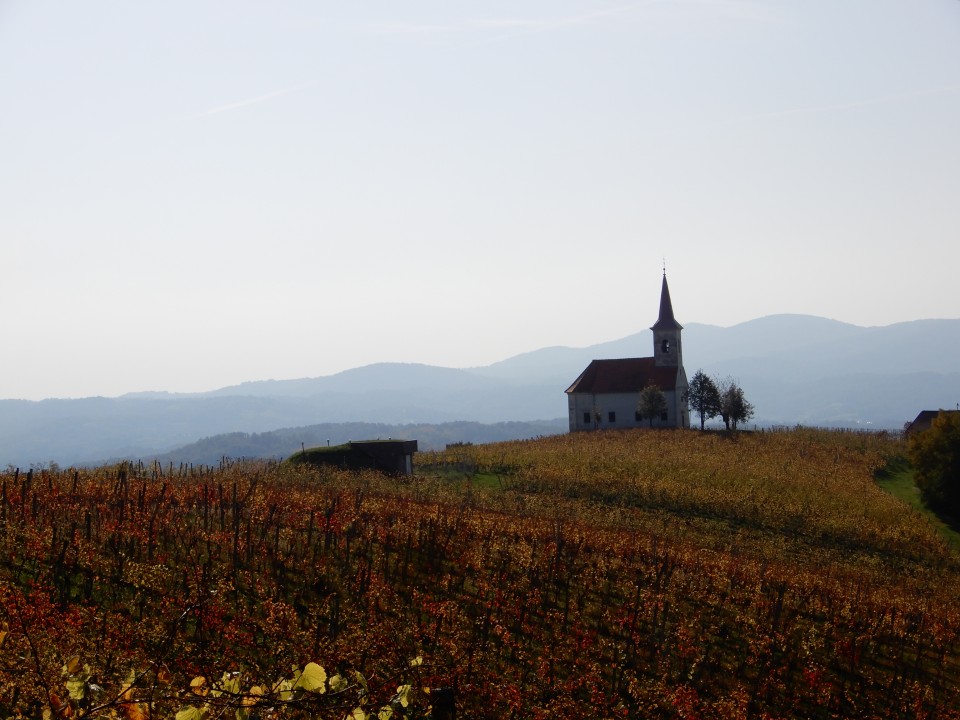 21. 10. 2019 - foto povečava