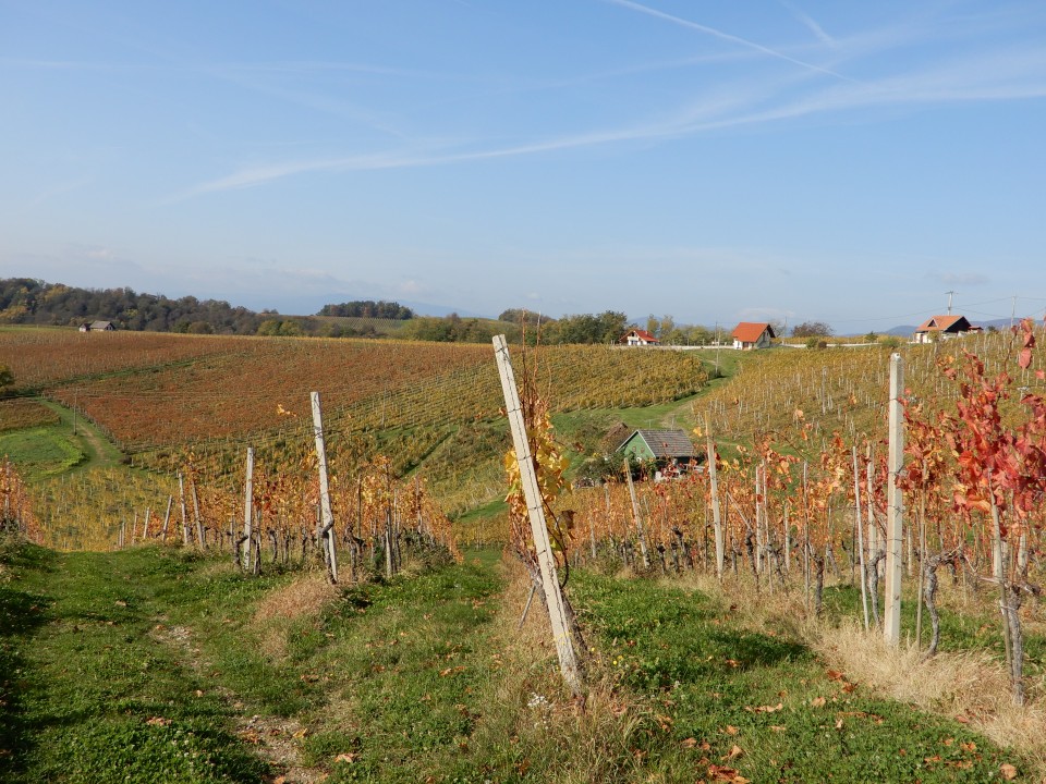 21. 10. 2019 - foto povečava