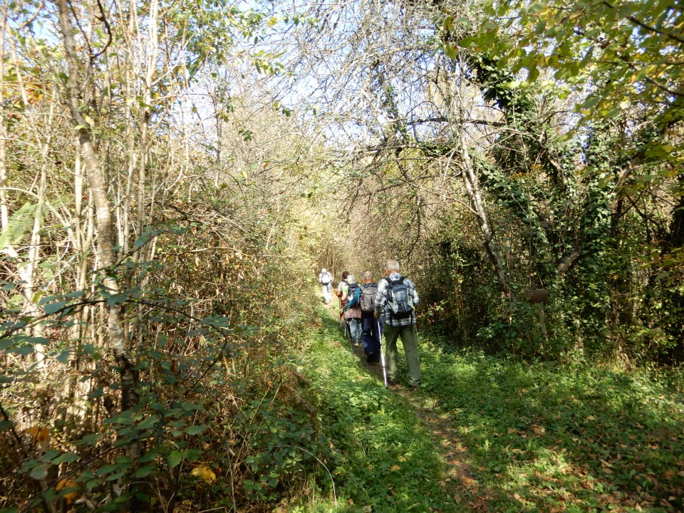 21. 10. 2019 - foto povečava