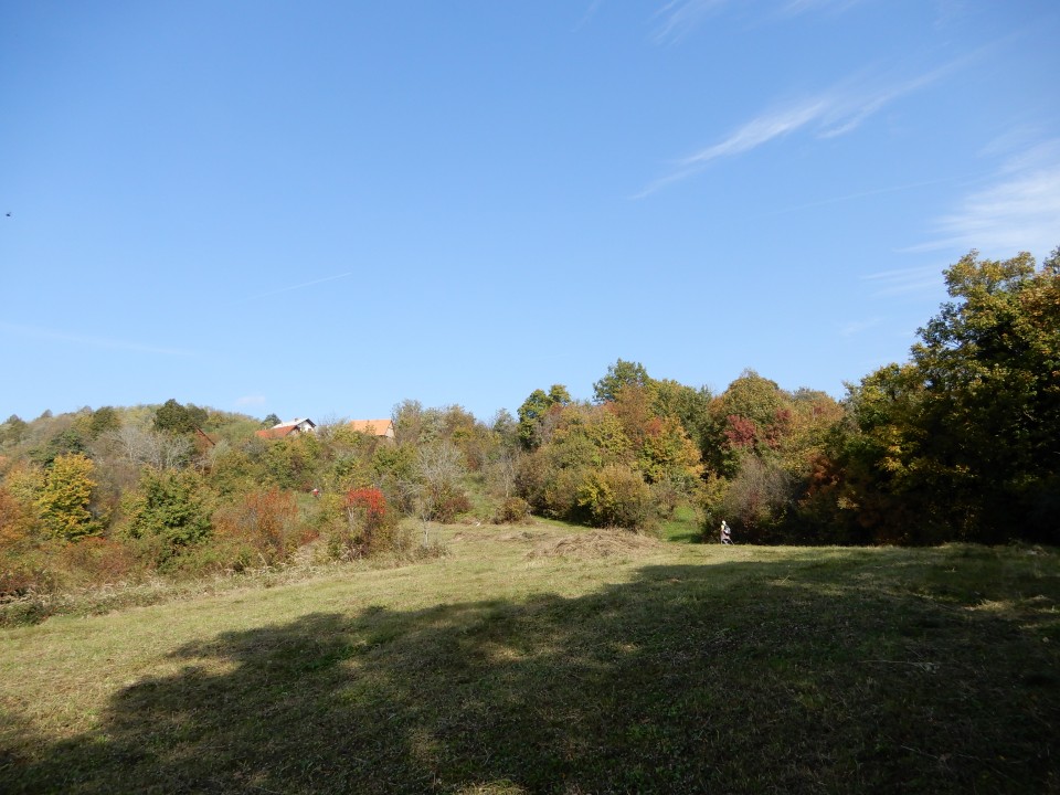 21. 10. 2019 - foto povečava