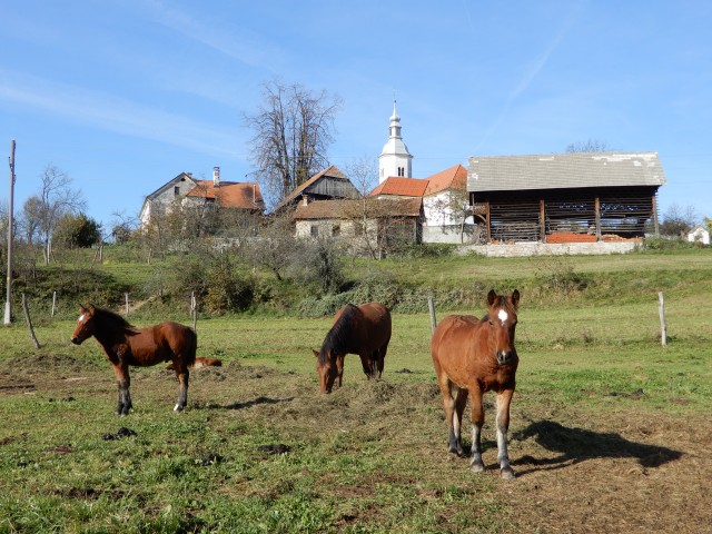 23. 10. 2019 - foto