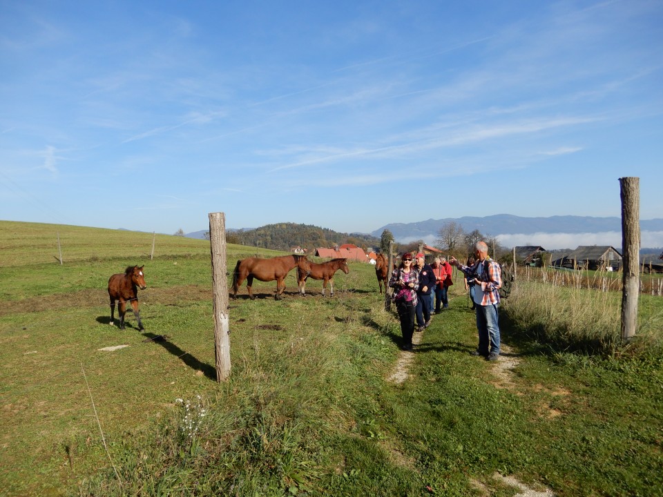 23. 10. 2019 - foto povečava