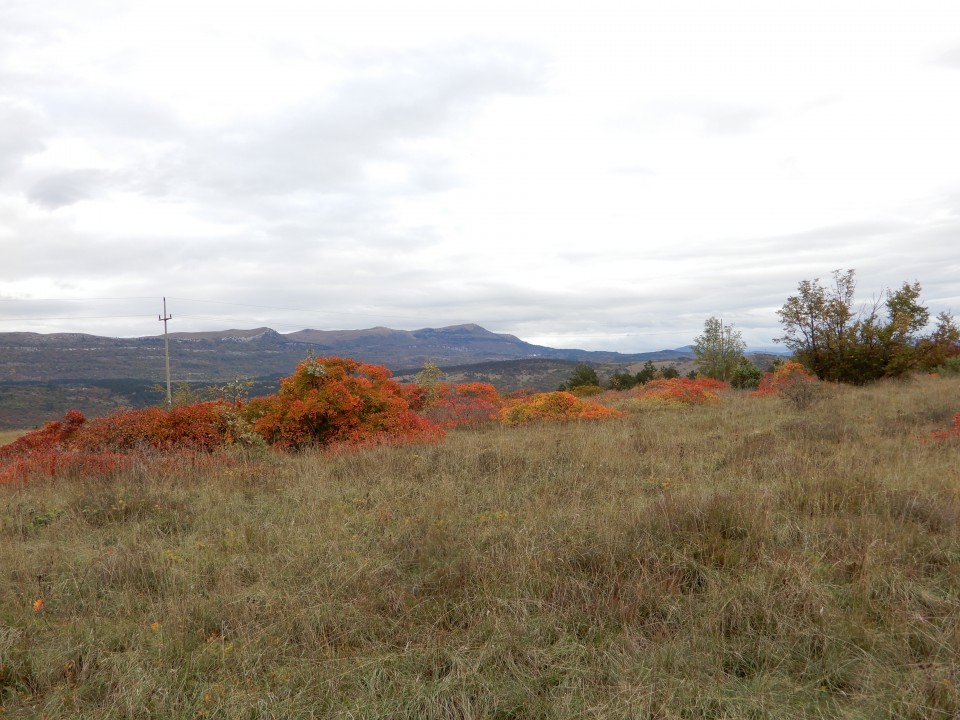 11. 11. 2019 - foto povečava