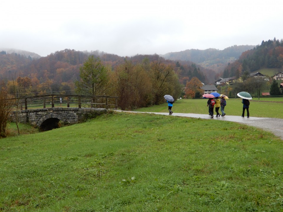 13. 11. 2019 - foto povečava