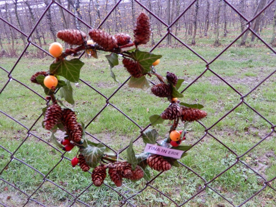 2. 12. 2019 - foto povečava