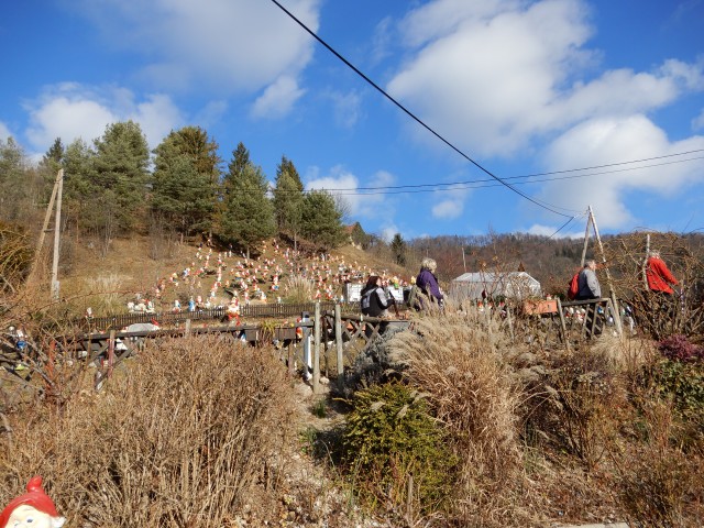 15. 1. 2020 - foto