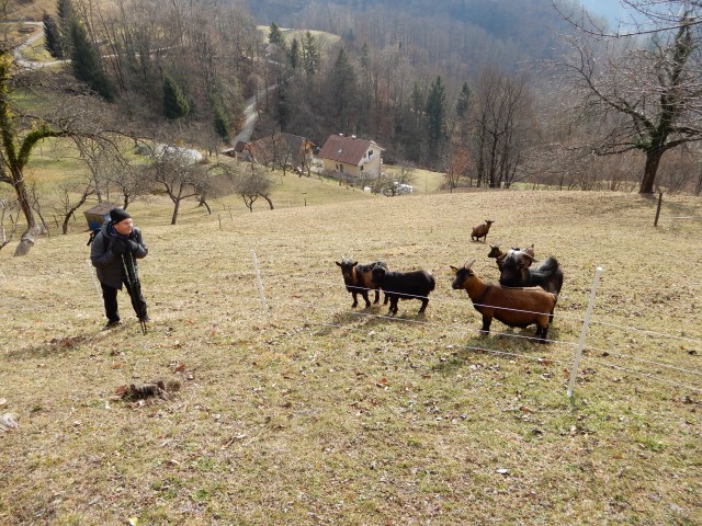 15. 1. 2020 - foto