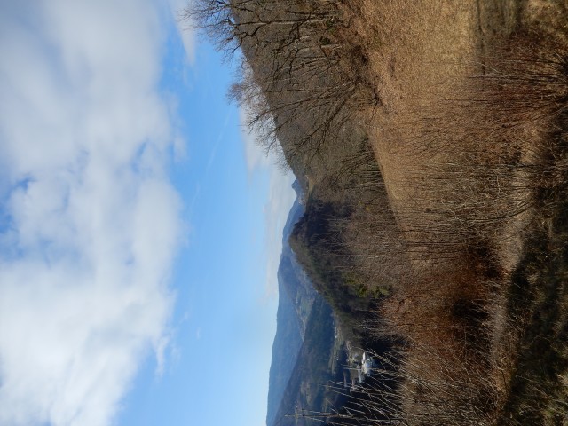 15. 1. 2020 - foto