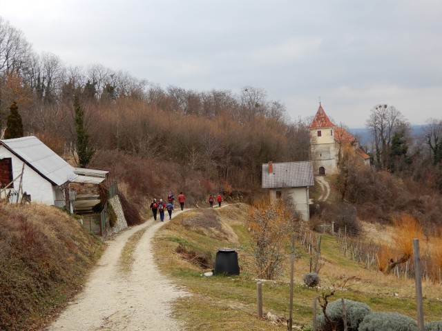 20. 1. 2020 - foto