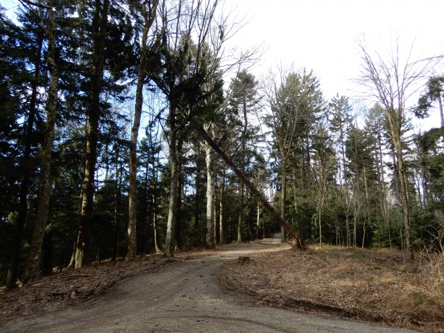 10. 2. 2020 - foto