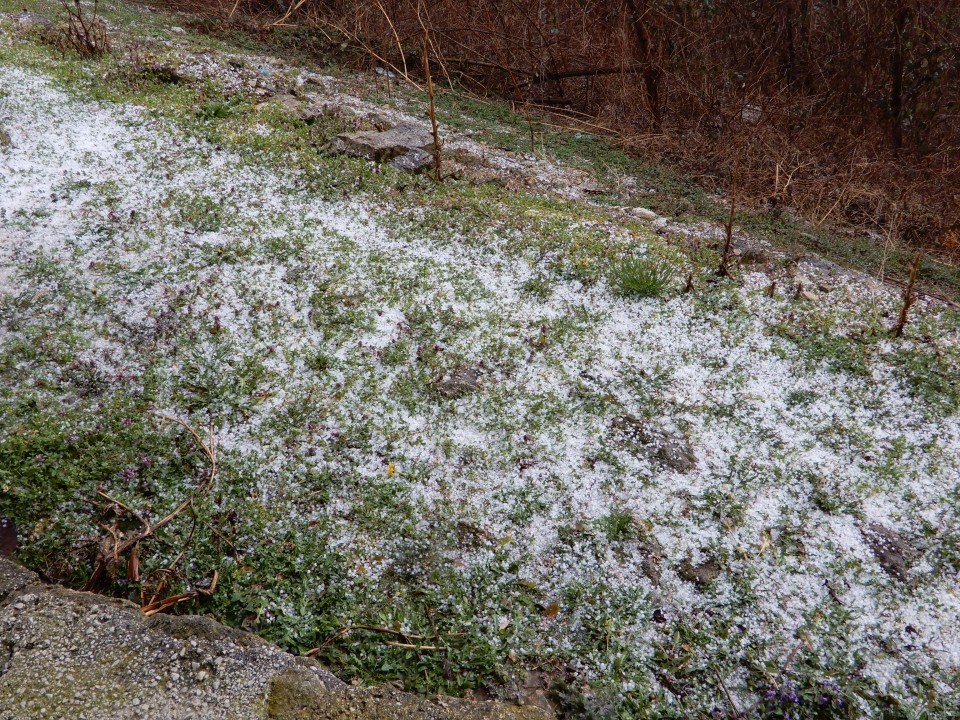 26. 2. 2020 - foto povečava