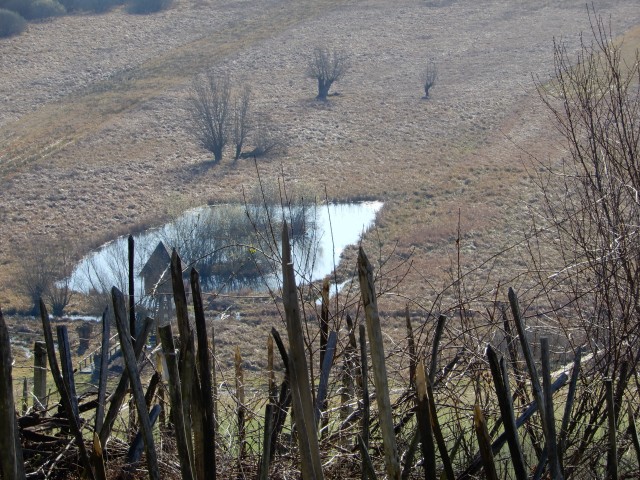 2. 3. 2020 - foto