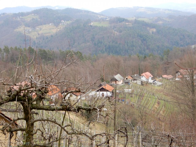 4. 3. 2020 - foto