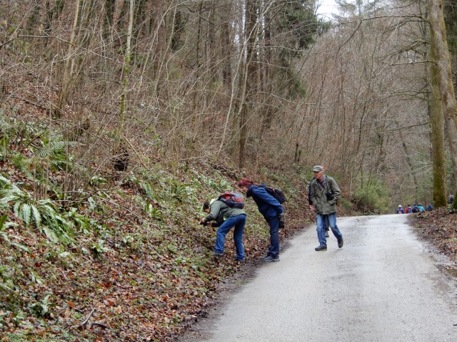 4. 3. 2020 - foto