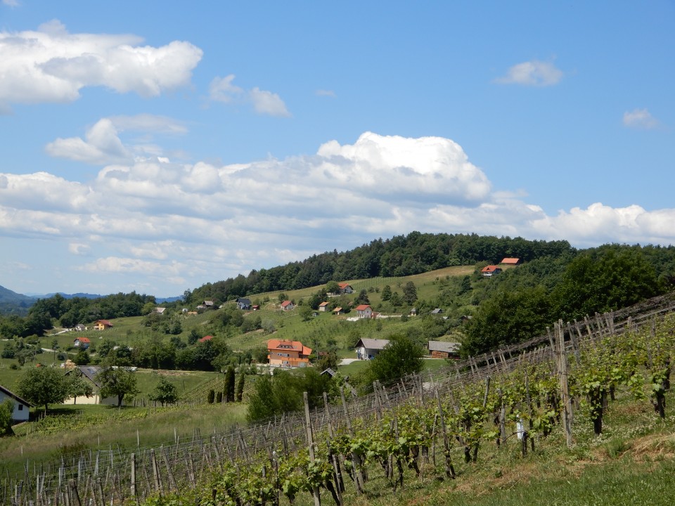 27. 5. 2020 - foto povečava