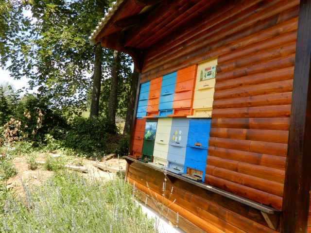 23. 6. 2020 - foto