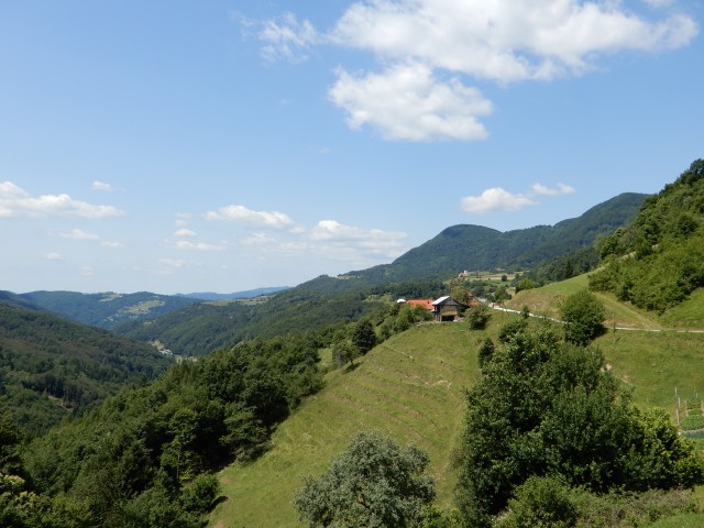 24. 6. 2020 - foto