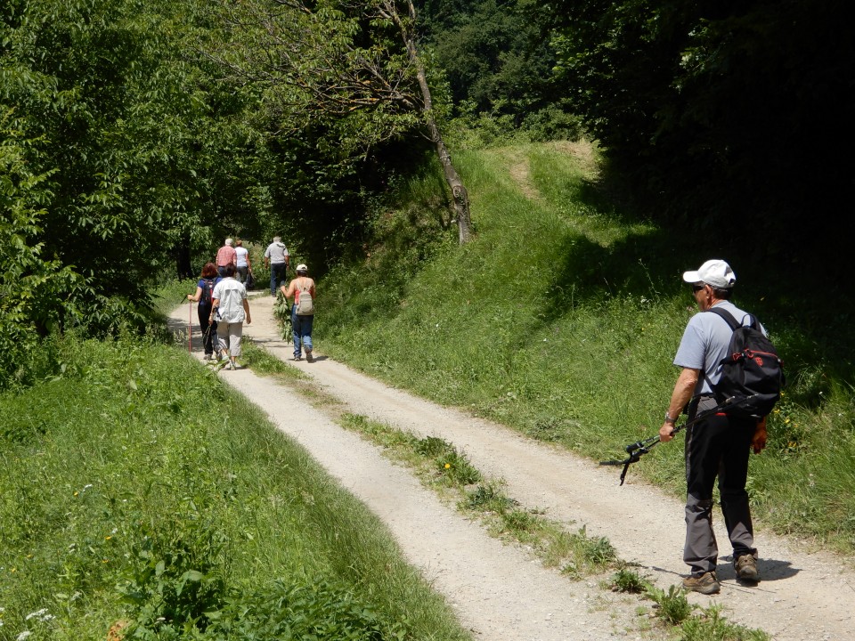 24. 6. 2020 - foto povečava