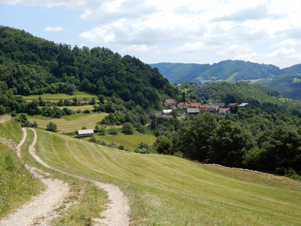 24. 6. 2020 - foto povečava