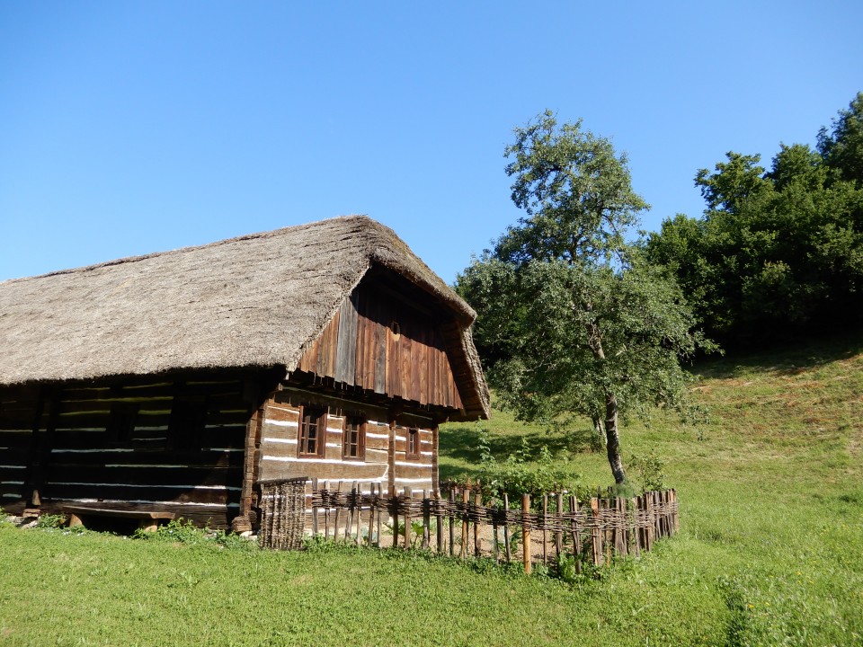 29. 6. 2020 - foto povečava