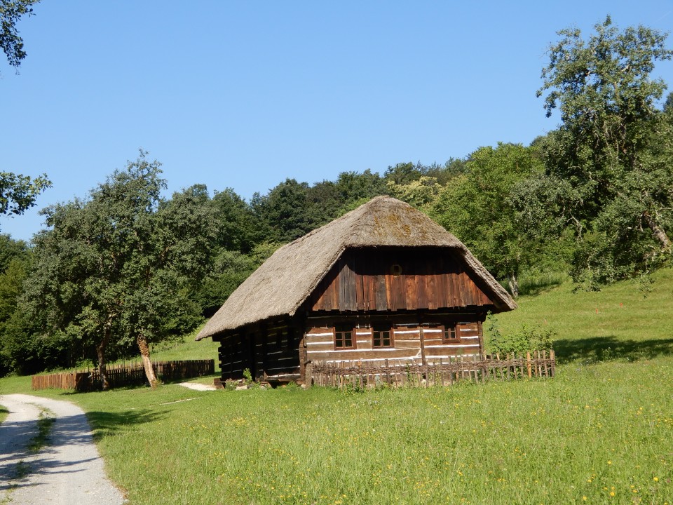 29. 6. 2020 - foto povečava