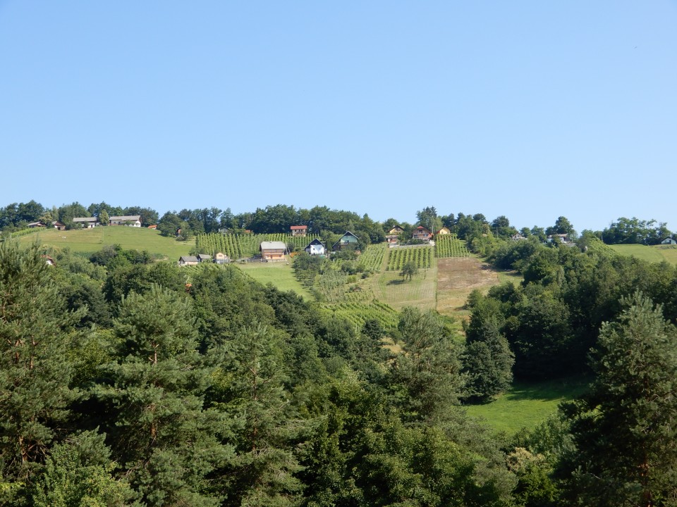 29. 6. 2020 - foto povečava