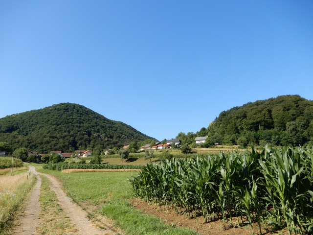 1. 7. 2020 - foto