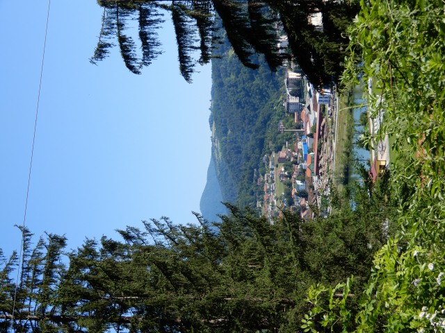 1. 7. 2020 - foto