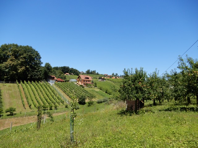 8. 7. 2020 - foto