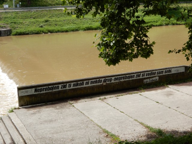 24. 7. 2020 - foto