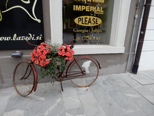 24. 7. 2020 - foto