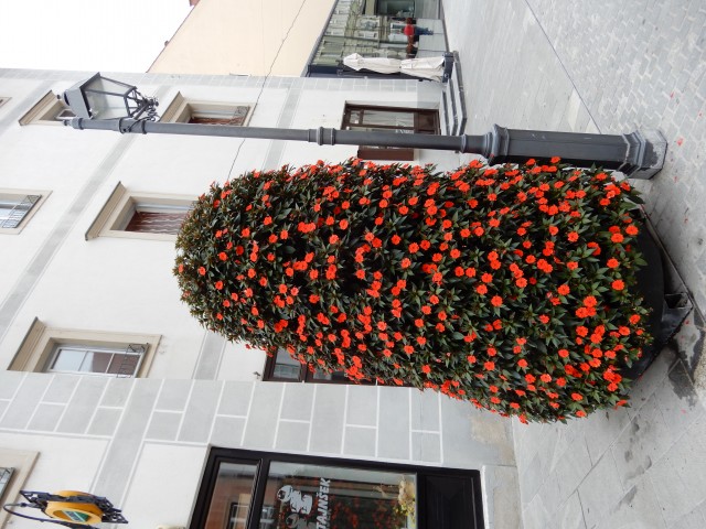 24. 7. 2020 - foto
