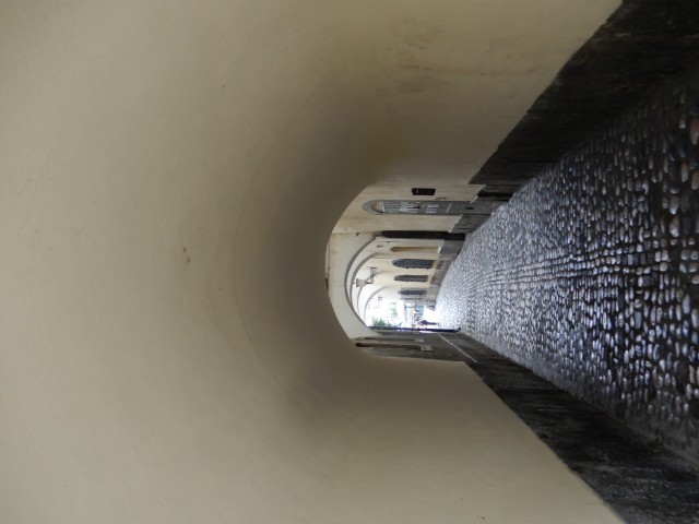 18. 8. 2020 - foto